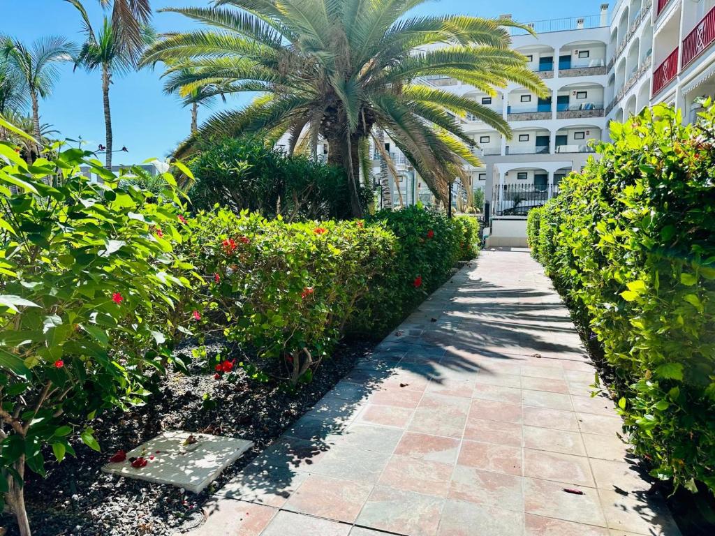 Playa del Cura - Beachside Retreat — 7
