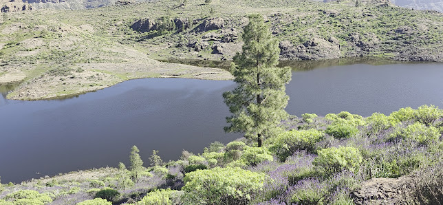 Presa de Las Niñas — 3