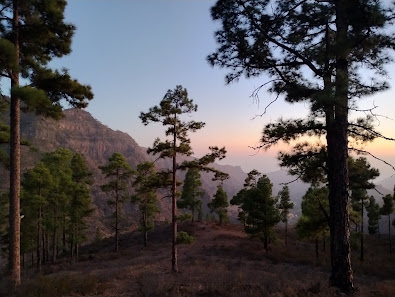 Presa Del Mulato — 1