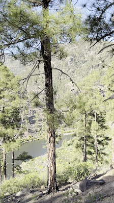 Presa Del Mulato — 3