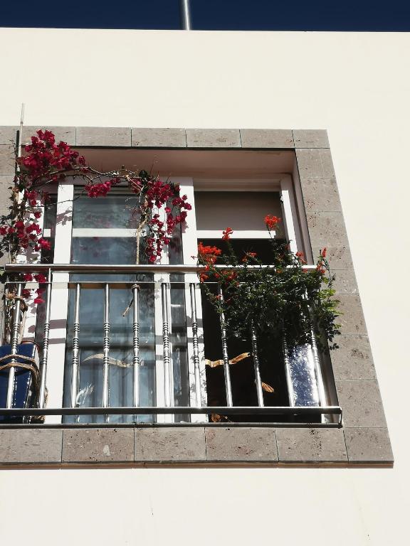 Puerto de Mogan Sonneland — 6