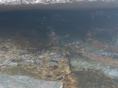 Puerto Rico Harbour — 2