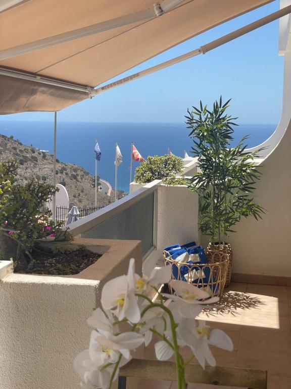 San Miguel Apartment Amadores Beach — 6