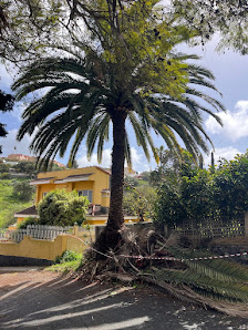 Servicios Galei Galden SL — 1