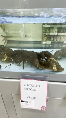 SPAR Arguineguín — 3