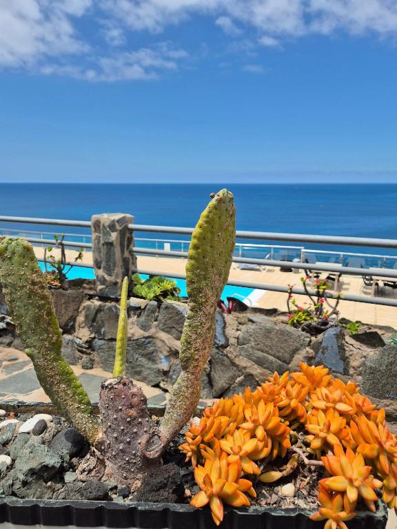Very Romantic Seaview Apartment Patalavaca Mogán with Warm Pool — 10