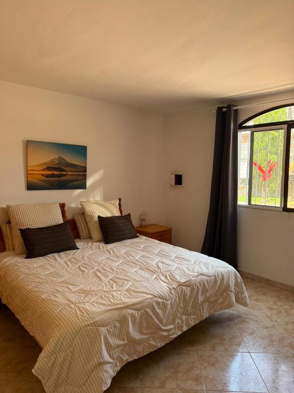Villa Flamingo l — 3