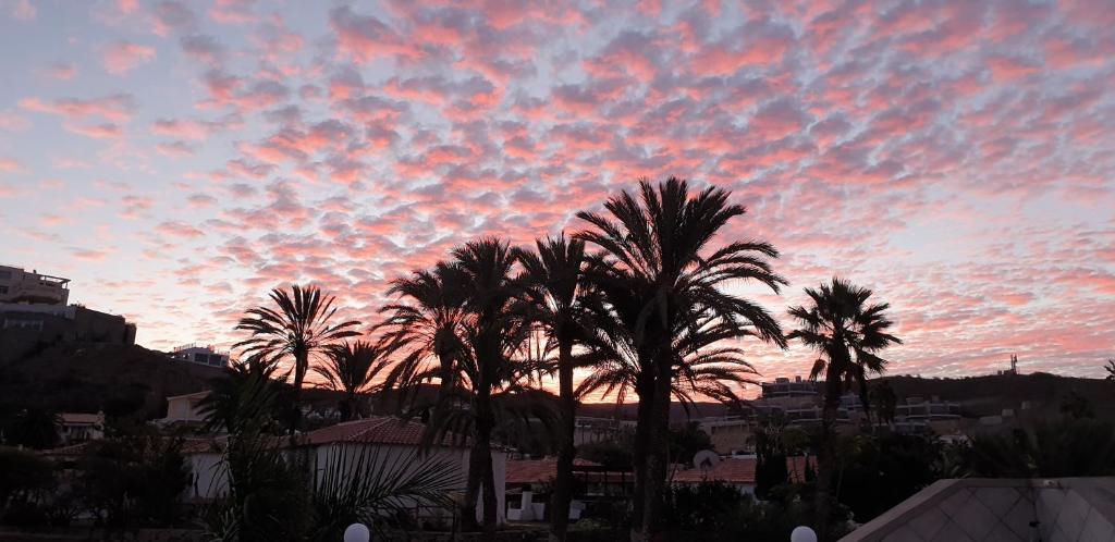 Villa Tauro Beach & Golf — 11